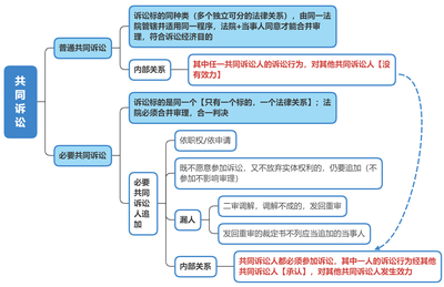 什么是共同诉讼人