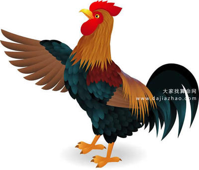 今年属鸡运势