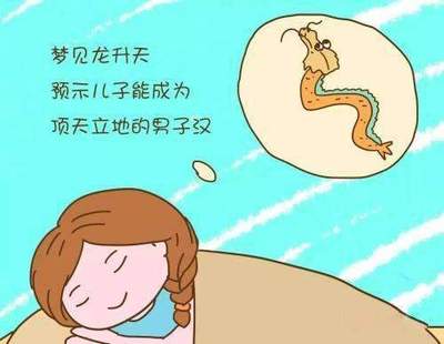 做梦梦到两只乌龟