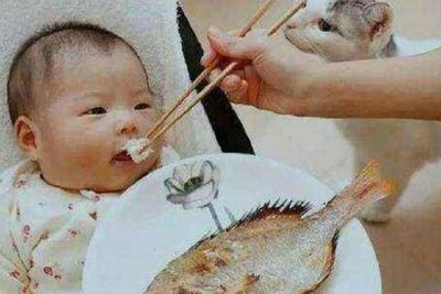 两岁宝宝可以吃鳝鱼吗