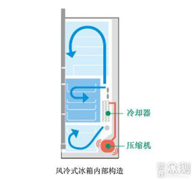 冰箱的内部结构