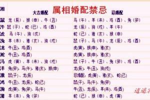 十二星座姻缘配对