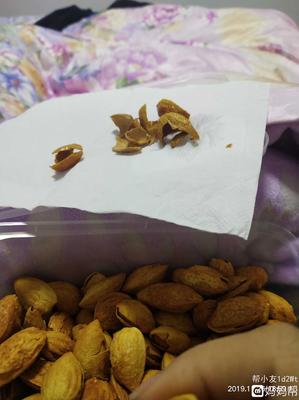 怀孕能不能吃巴旦木