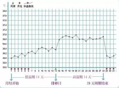 排卵期体温37.2正常吗