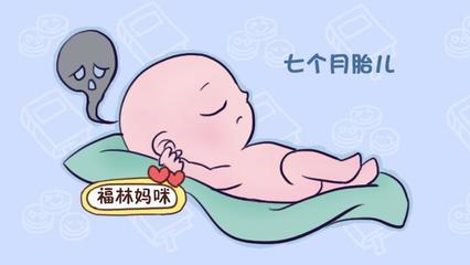 胎儿七个月