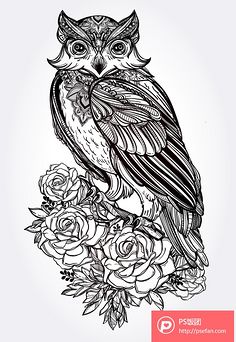 黑白动物装饰画