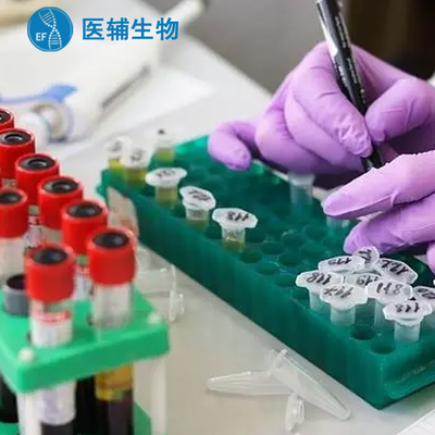亲子鉴定多久出结果