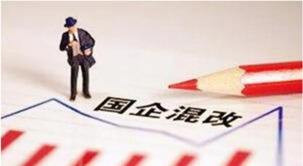 国有企业的股东