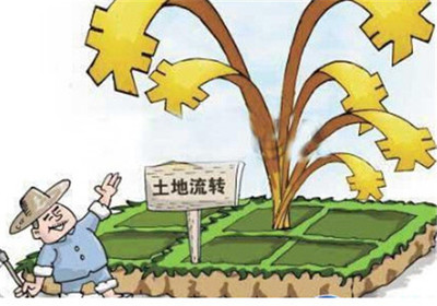 土地纠纷