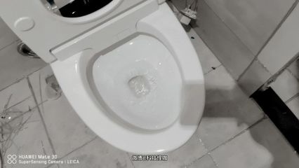 不冲水的马桶