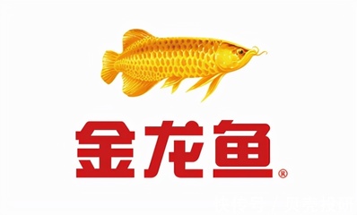 龍魚掉眼會恢復(fù)嗎視頻講解（龍魚掉眼會恢復(fù)嗎視頻講解大全）