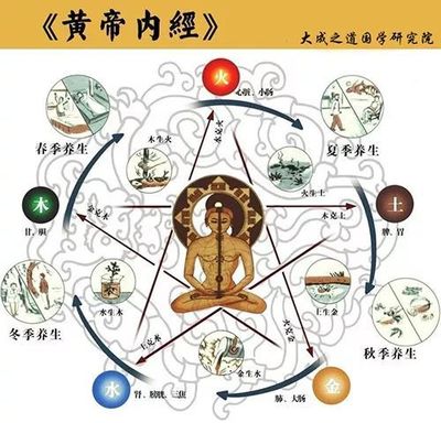 五行的关系生克制化