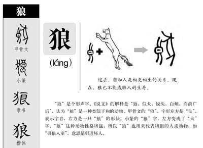雅五行属什么的
