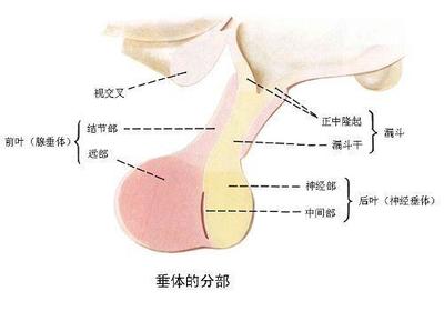 阳痿可以怀孕吗