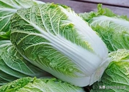 白菜吃了会长痘痘吗