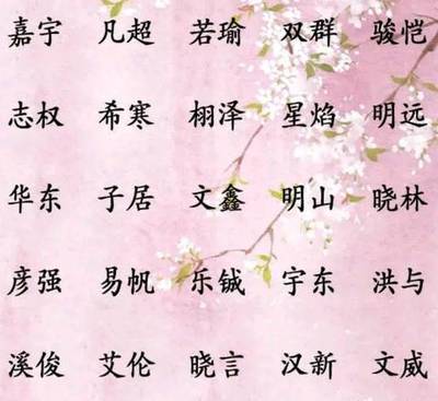 相片名字大全