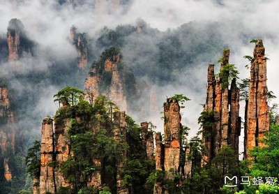 天门山景区需要预约吗
