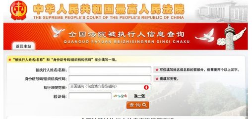 全国法院被执行人信息查询系统