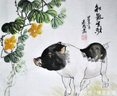 碰代表什么生肖