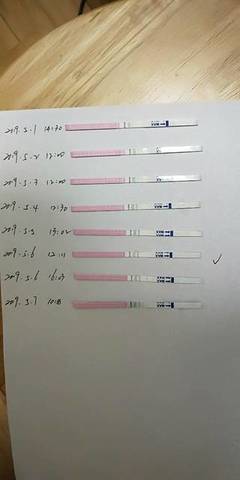 排卵期哪天排卵