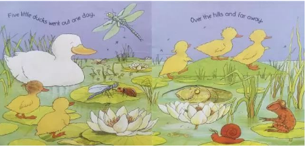 ducks怎么读