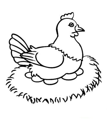 母鸡孵蛋的简单画法图片