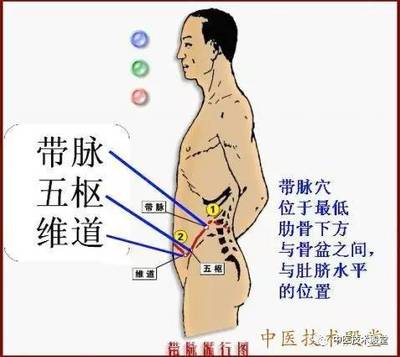 敲带脉减肥