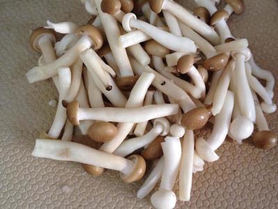 菌菇包的制作方法