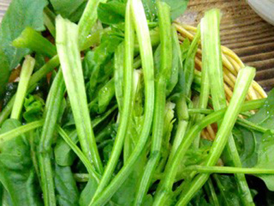 酸菜孕妇能吃吗
