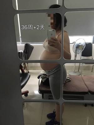 胎儿后期一周长多少斤