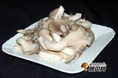 孕妇能吃平菇吗