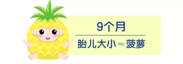 9个月宝宝能吃菠萝吗