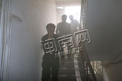 柳白新城最新进展