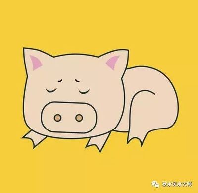 属猪2017年运势及运程