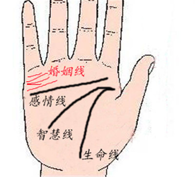 婚姻线4条