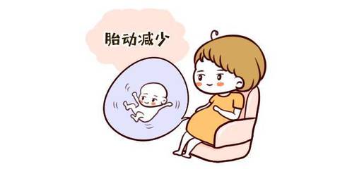 怀孕多久孩子会动