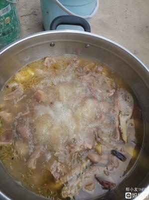 怀孕了能吃鸭子吗