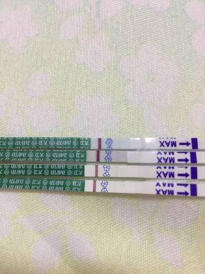 为什么这个月没来月经