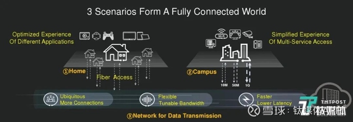 fiberhome干什么