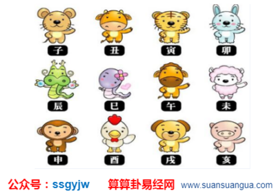 28什么生肖