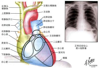 肺衰竭怎么治疗