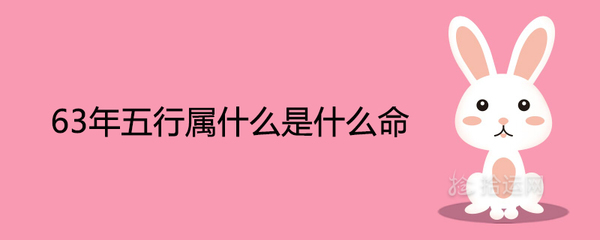 63年五行属什么