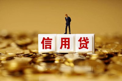 小额信用贷款公司