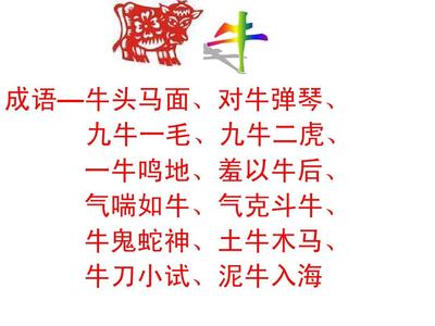 九牛一毛指什么生肖