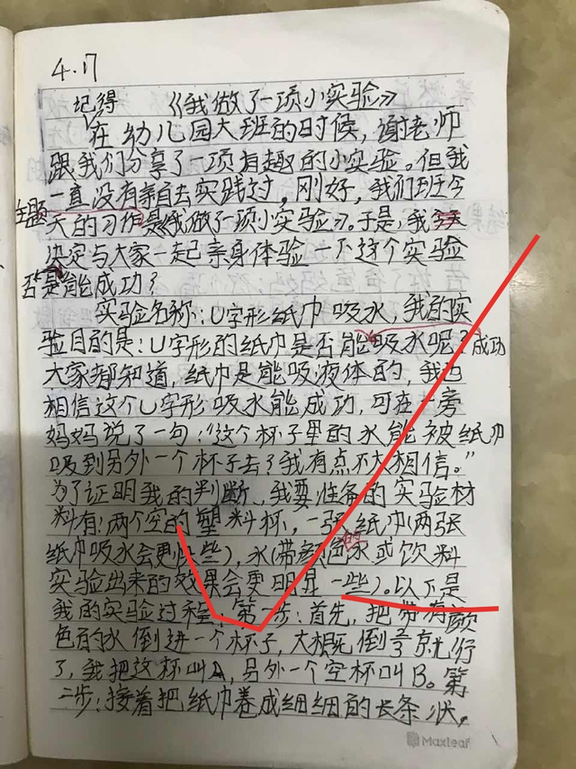 一项小实验的作文怎么写啊