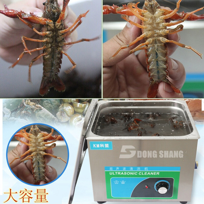 野生虾怎么洗