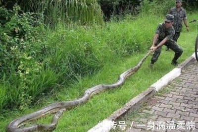 最长的英文名