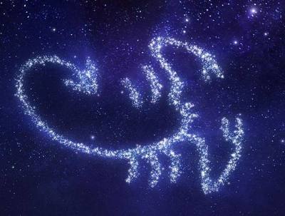 最聪明的星座男