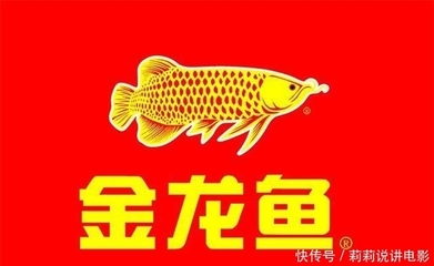 紅龍魚的品牌有哪些牌子呢（紅龍魚的品牌有哪些牌子呢圖片）