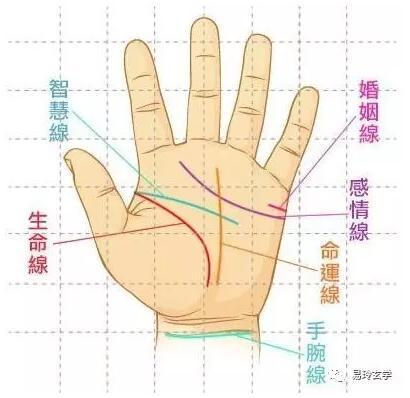 命运线止于智慧线